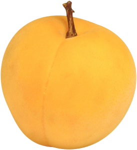 Apricot PNG-12638